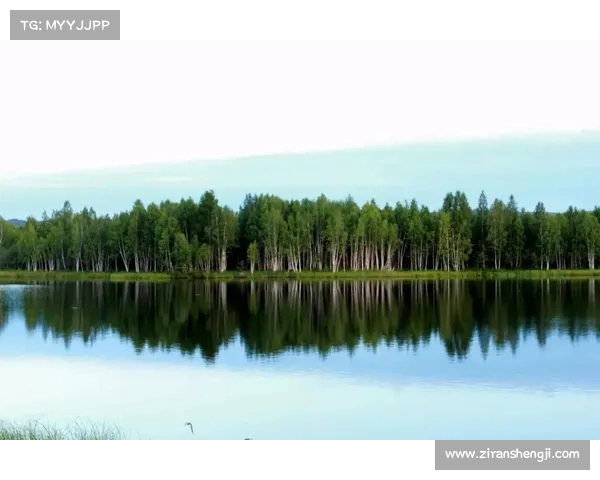 冬季湖畔的五大必看美景让你陶醉在寒冷中的温暖与静谧 冬季湖畔的五大必看美景让你陶醉在寒冷中的温暖与静谧