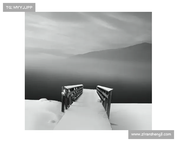 冬日湖畔的静谧世界:雪花轻舞与冰水交织成的诗意画卷 冬日湖畔的静谧世界:雪花轻舞与冰水交织成的诗意画卷