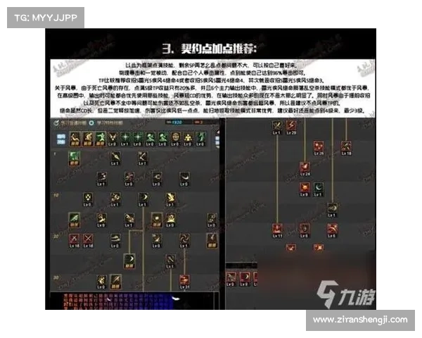 刺客职业装备选择指南如何搭配才能提升战斗力和生存能力