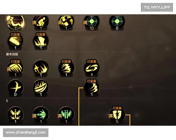 DNF圣骑士加点攻略及最佳选择推荐方案详解