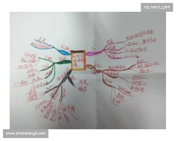 全面掌控足球虚拟队创建管理与进阶操作策略的实用高效指南解析