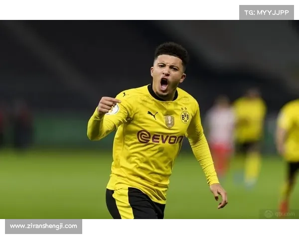 如何全面了解多特边锋桑乔的个人背景与职业生涯详情